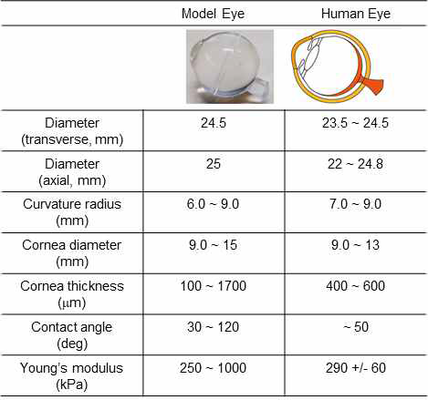 모델 안구 및 인간 안구의 기하학적-기계적 특성과 표면의 수력학적 특성 비교