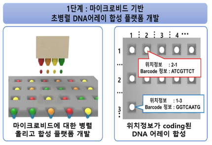 1세부 1단계 연구개발 개요 – 마이크로비드 기반 초병렬 DNA 어레이 합성 기술 개발