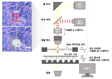 2세부 셀레믹스 연구진이 개발하고자 하는 레이저 분리 장비의 모식도