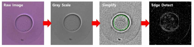 이미지 분석 과정 도식화, 전체 이미지 중 특정 영역 선택, 빠른 연산 처리를 위해 단순화 시킨 후 경계면 측정 과정을 거침