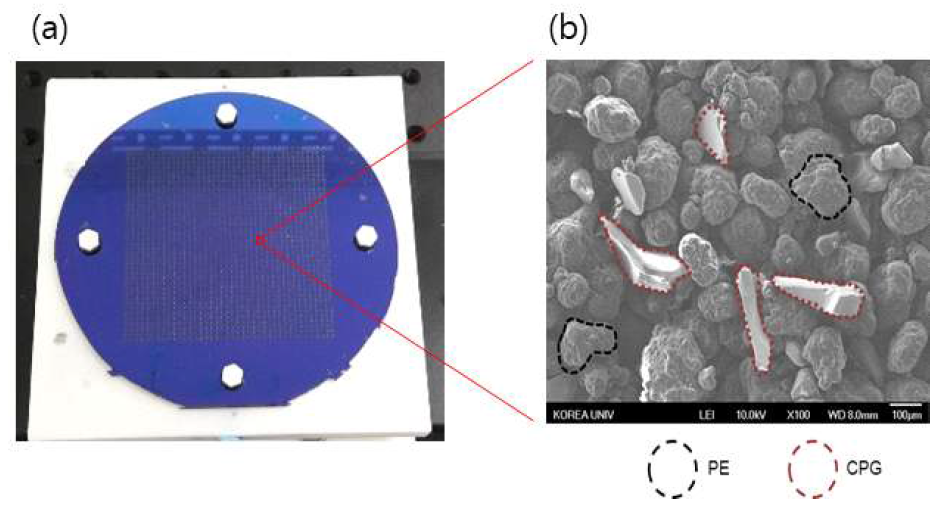 (a) silicon 기반 합성 기판, (b) 폴리에틸렌 소결 결과