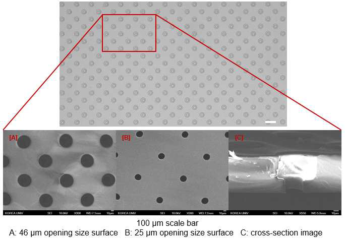 비대칭 구멍을 가지는 PDMS 합성기판 현미경 이미지