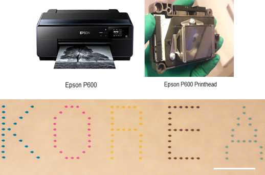 Epson P600의 헤드를 이용한 액적 분사기 제작