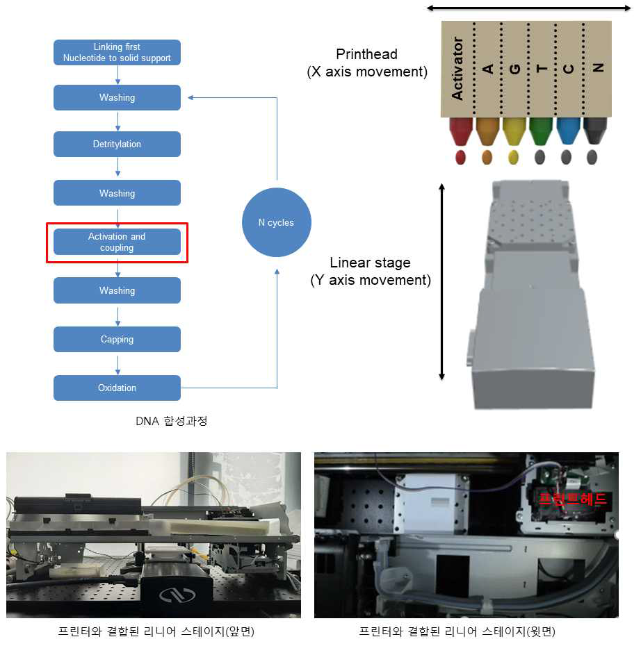프린터 헤드와 결합된 리니어 스테이지