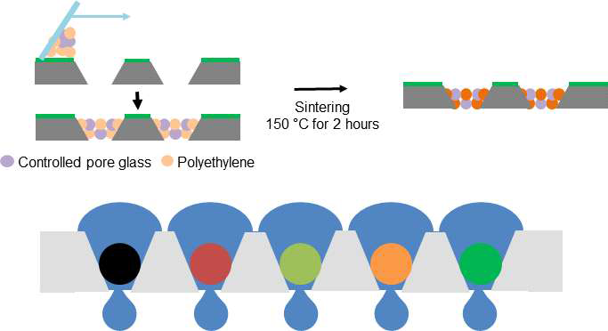 비대칭 에칭된 silicon wafer 기판에 CPG/PE를 로딩하여 through hold washing이 가능한 기판 제작