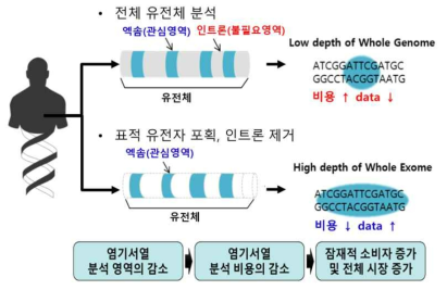 타겟 capture 시퀀싱의 개념 모식도 – 관심영역인 엑솜만을 선택적으로 포획 분석하는 방법을 통해 낮은 비용으로 효과적인 질병관련 변이를 확인하는 것이 가능
