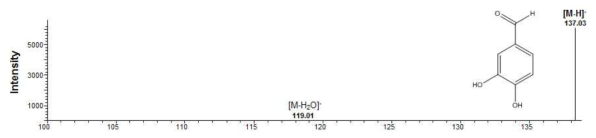 Protocatechuic aldehyde의 MS/MS spectrum