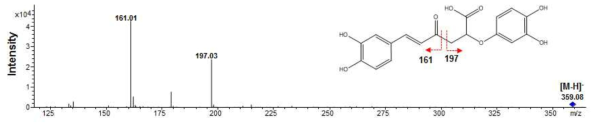 Rosmarinic acid의 MS/MS spectrum