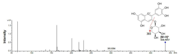 Delphinidin-3-arabinoside의 MS/MS spectrum