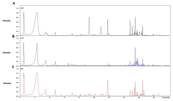 천연물(A:창이자, B:도꼬마리, C:큰 도꼬마리)의 Positive total ion chromatogram