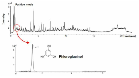 Uirne 시료의 total ion chromatogram에서 peak extract한 phloroglucinol