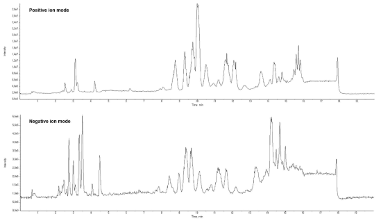 UPLC/QTOF-MS를 통한 plasma 시료의 total ion chromatogram (TIC)