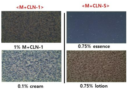 CLN 가용화제를 적용한 화장품 제형의 현미경 이미지(400×)