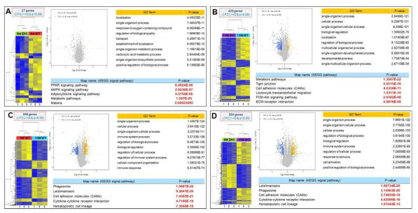 GO term and KEGG signal pathway analyses. It was found that PrPC was involved in several molecular responses and pathways at each age stage (A to D)