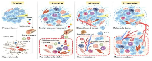 전이암 형성과정과 종양미세환경의 상호작용 (Cancer cell 2016, 30(5), pp. 668-681)