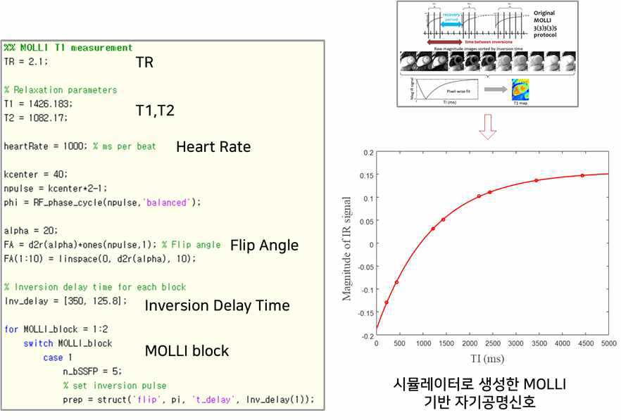 MOLLI sequence 원리를 이용하여 개발한 MATLAB 기반 자기공명신호 생성 시뮬레이터
