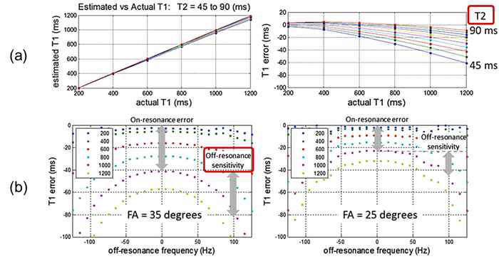 MOLLI sequence에서 (a) T2 자기이완율에 따라 T1 자기이완율 측정 시 underestimation 영향을 받으며 (b) flip angle에 따라 off-resonance 영향이 달라짐
