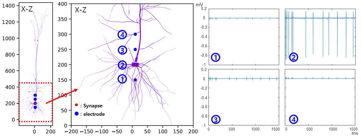 1개의 신경 세포에 대하여 네 개의 채널을 가진 single array recorder로 신호를 측정 모델링 결과 예시