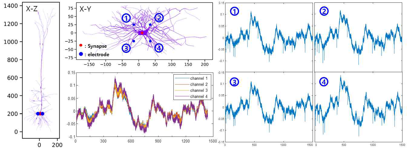 하나의 신경 세포에서 발생한 신경신호를 tetrode를 이용하여 측정한 시뮬레이션 결과 예시