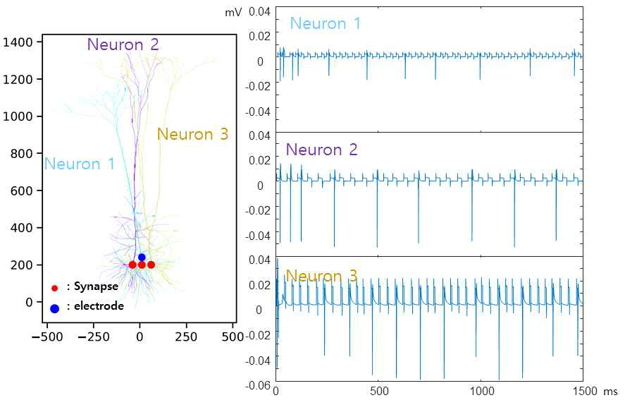 세 종류의 신경세포와 하나의 전극을 이용한 시뮬레이션 예시
