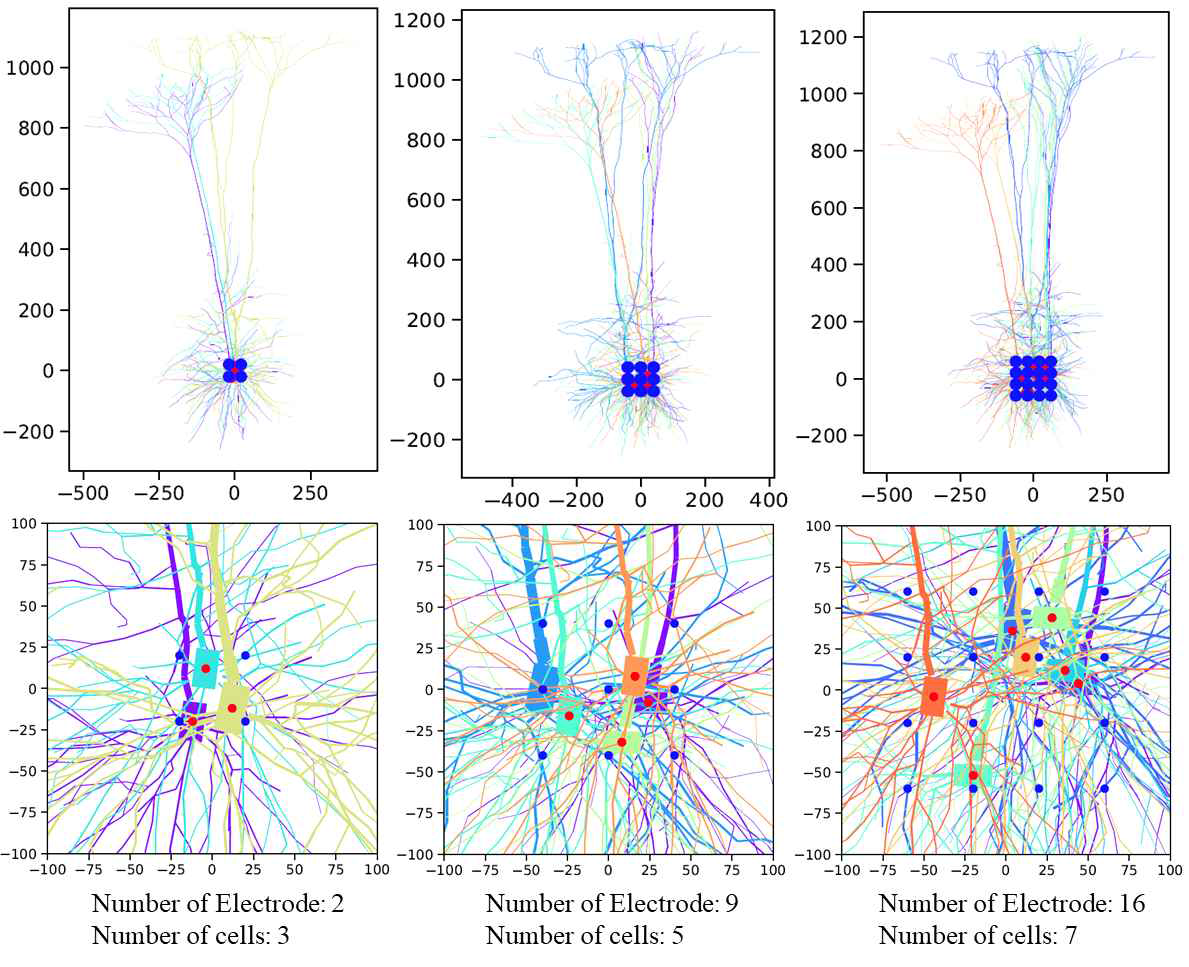 전극의 개수와 신경세포의 개수에 따른 신경세포, 전극의 배열 예시