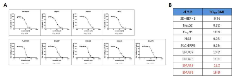간암세포주의 sorafenib 감수성 검사