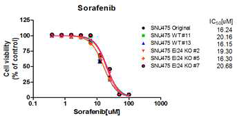 EI24 KO SNU475 세포의 soranfenib 감수성 검사