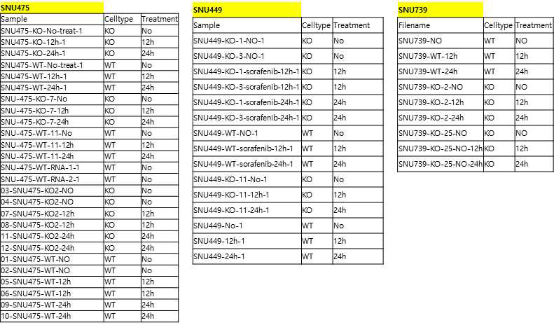 Sorafenib 처리시 WT 및 EI24 KO HCC 세포에서 나타나는 transcriptome 변화를 분석하기 위해 사용된 샘플 리스트