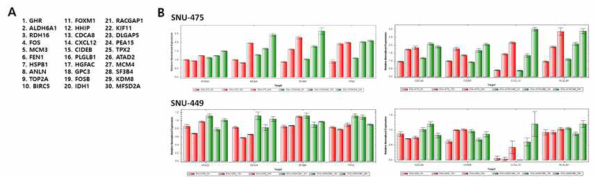 RNA-seq을 통한 EI24 WT 과 KO 세포주 간 발현 차이를 보이는 유전자 추가 분석 결과