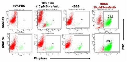 HBSS buffer 처리에 의한 autophagy induction이 sorafenib 반응성에 미치는 영향