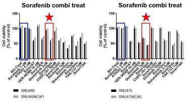 SNU449와 SNU475에서 sorafienib과 quizartinib의 synergy 효과 확인