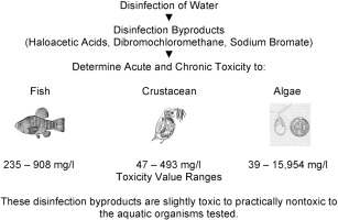 소독제 및 소독제 분해산물에 의한 수중 생물 반치사 농도