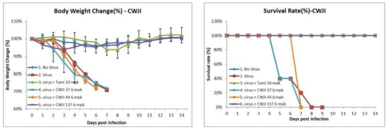 CWJI 계열 화합물의 in vivo 감염 모델에서 소독력 비교