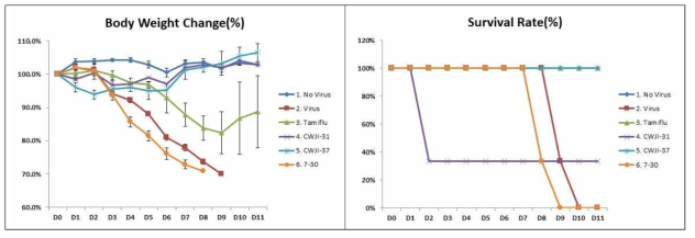 7-30, CWJI-31, CWJI-37 in vivo 소독시험