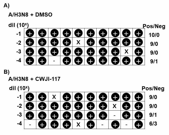 조류인플루엔자 단독 (A), 또는 CWJI-117 (B) 존재하에서 감염시킬 경우 계란 치사율 계산. +, 감염된 계란. X, 감염 하루 후에 비 특이적으로 혈관 형성이 정지된 계란. -, 바이러스 감염이 안된 계란