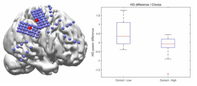 촉각 비교 인지 과정 특이적 영역(좌), 선택에 따른 해당 영역 뇌파의 증감 차이(우)
