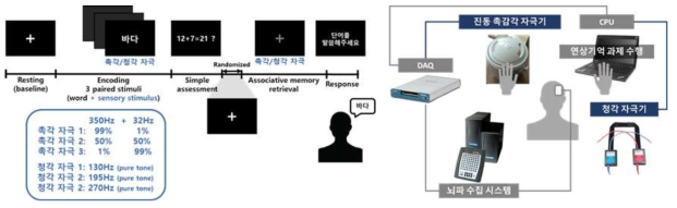 감각-고위인지 연상 기억 실험 패러다임(왼쪽)/ 실험 시스템(오른쪽)