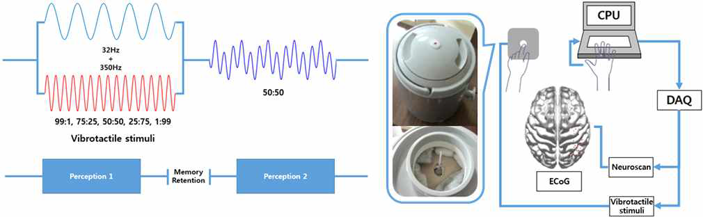 진동 촉감각 구분 과제의 실험 패러다임 및 실험 시스템 개요