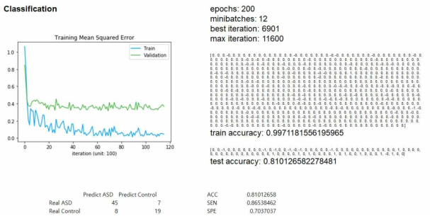 ASD와 정상 대조군 classification 결과