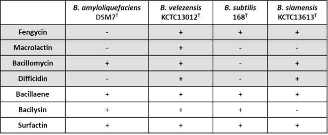 Differences of antibiotic production diversities among B. amyloliquefaciens species