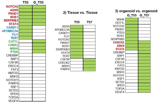 신장 조직 및 신장 조직 유래의 3D 오가노이드에서 targeted sequencing 결과 비교