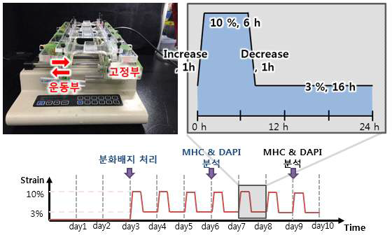 Programmable syringe pump를 이용한 인장 시스템 구성 및 인장 조건