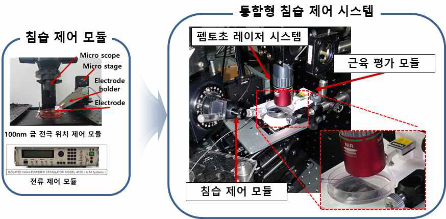 침습제어 모듈, 펨토초 레이저 시스템, 근육 평가 모듈이 결합된 통합시스템