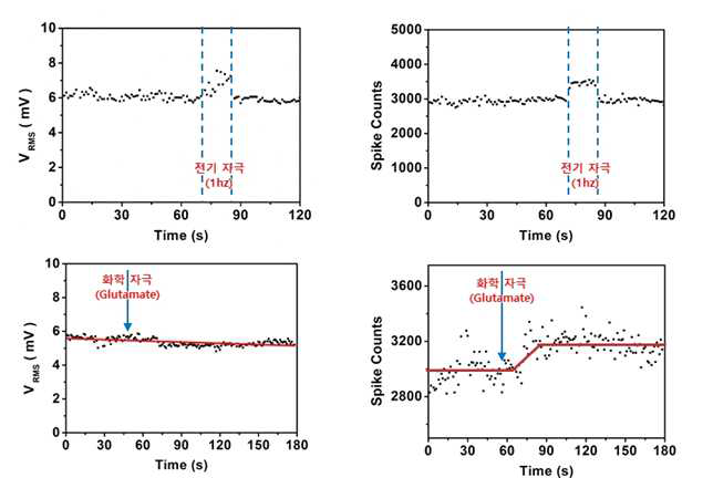 전기자극 및 화학자극에 따른 신경 활동 전위 변화 분석 결과