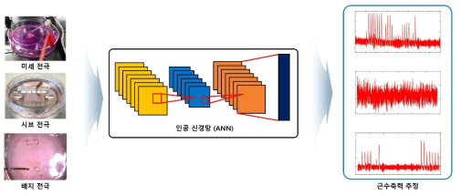 인공 신경망을 이용한 전기 자극과 근수축력의 관계 추출