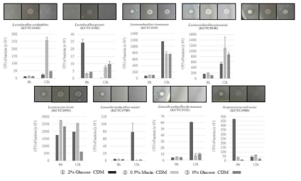 Lactobacillus 균주의 장 상피성분 이용성 조사