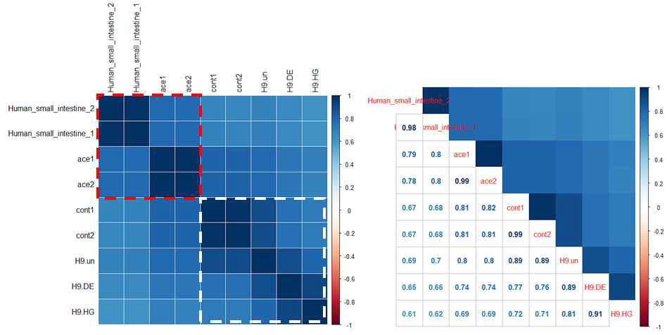 Correlation plot을 이용한 샘플 별 유전체 발현 유사도 검증