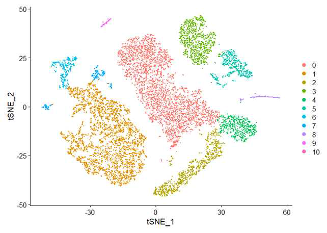 PCA 및 dimension reduction을 이용하여 생성한 tSNE plot