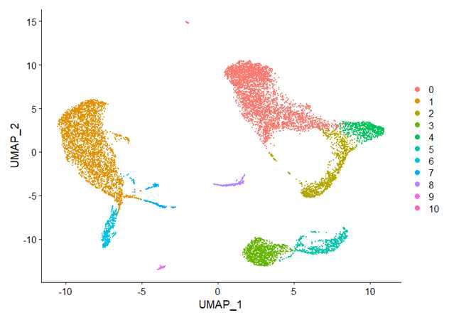 PCA 및 dimension reduction을 이용하여 생성한 UMAP plot