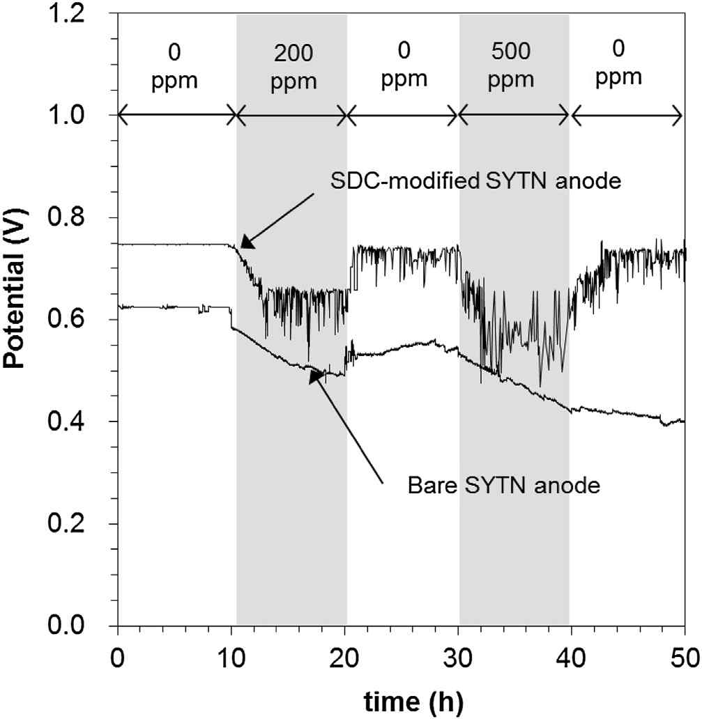 다양한 농도에서 SDC-코팅된 SYTN5와 순수 SYTN5의 장기 성능 비교
